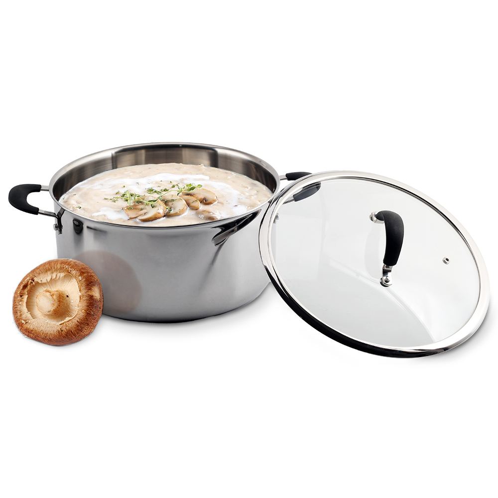 Tri-Ply Stainless Steel Stock Pot With Lid