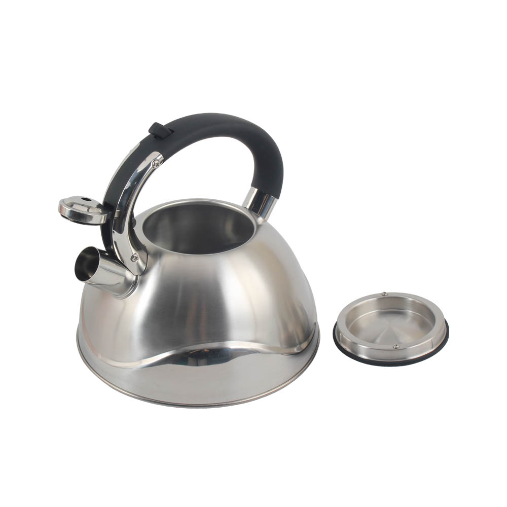 Stainless Steel Whistling Tea Kettle, Silver-Colored