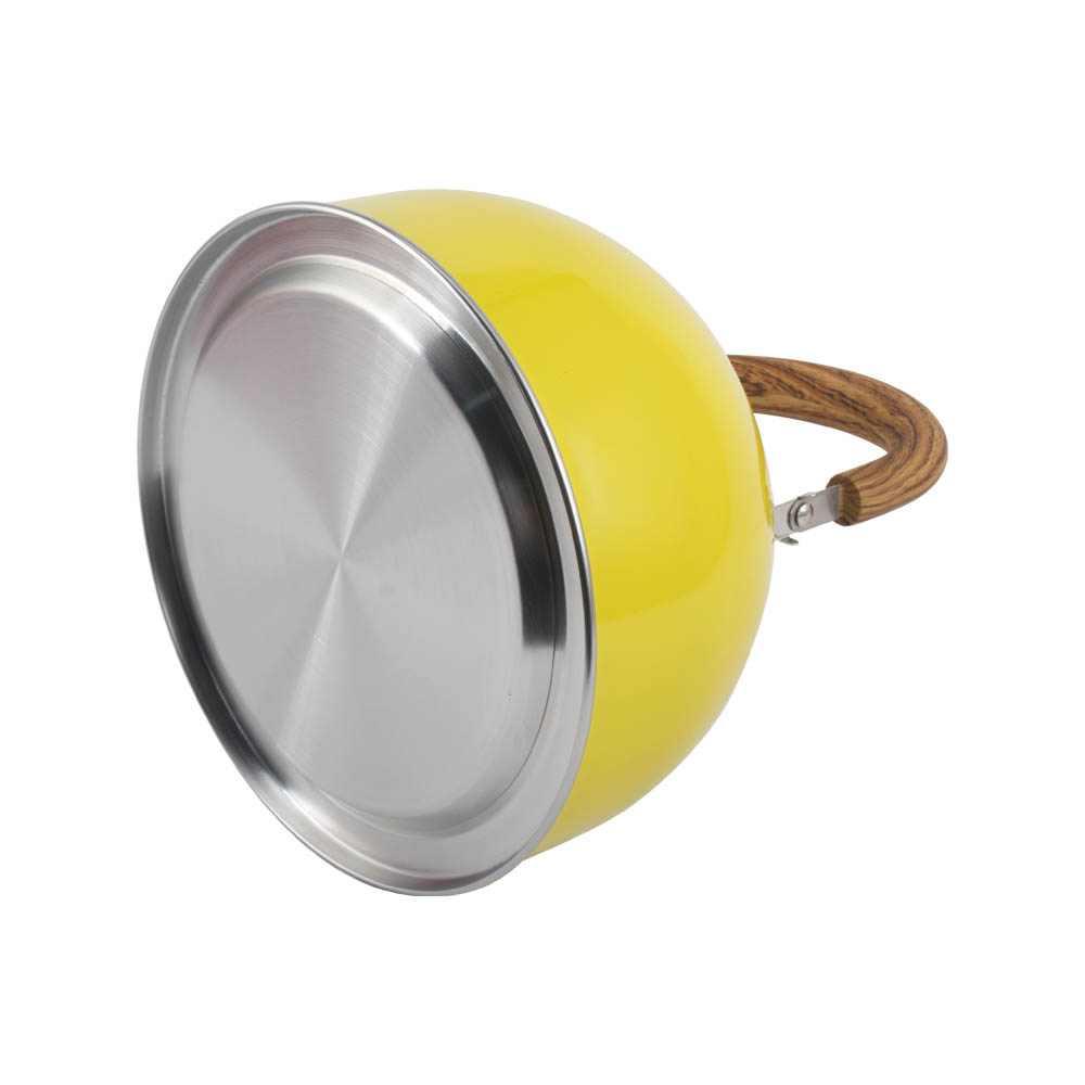 Stainless Steel Whistling Tea Kettle (Yellow)