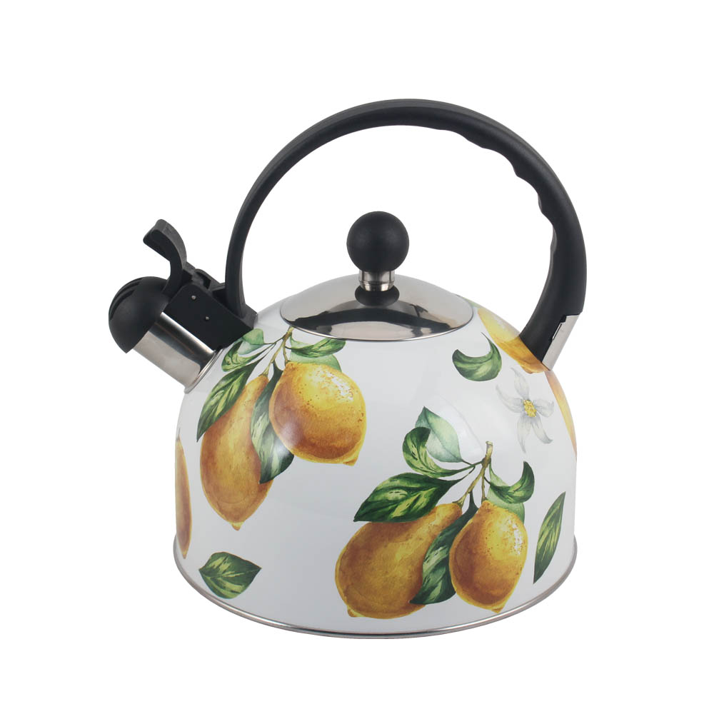 Patterned Stainless Steel Whistling Kettle