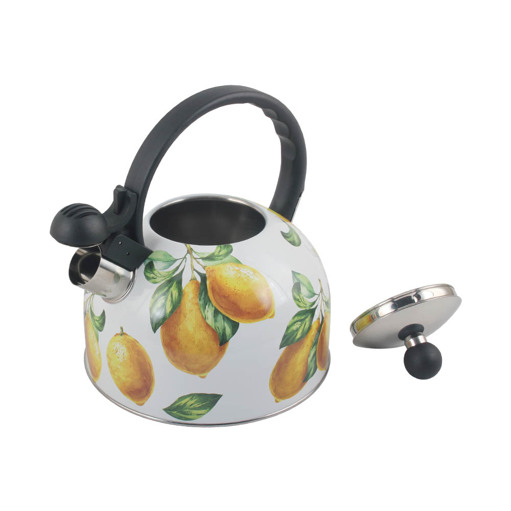 Patterned Stainless Steel Whistling Kettle