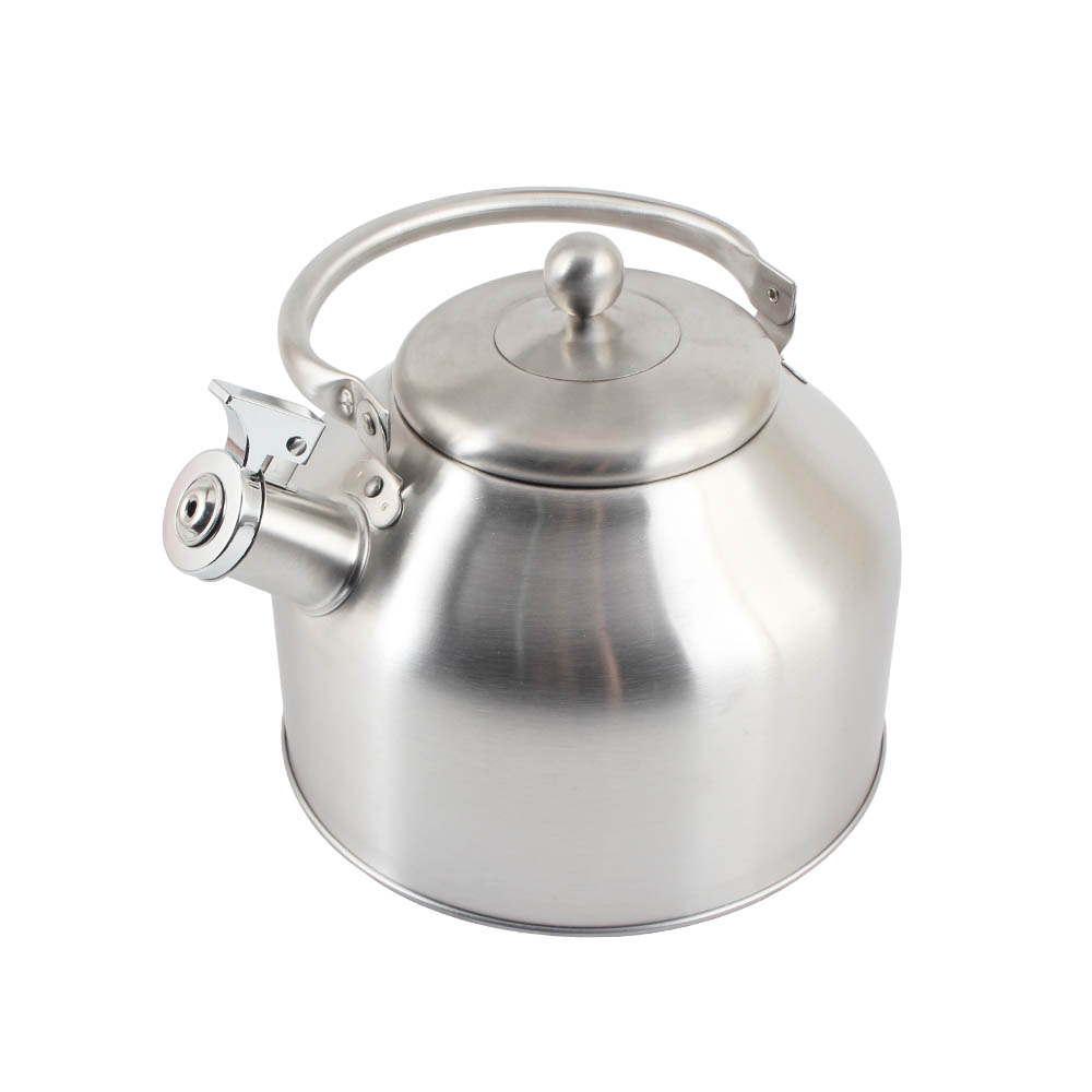 Stainless Steel Whistling Kettle