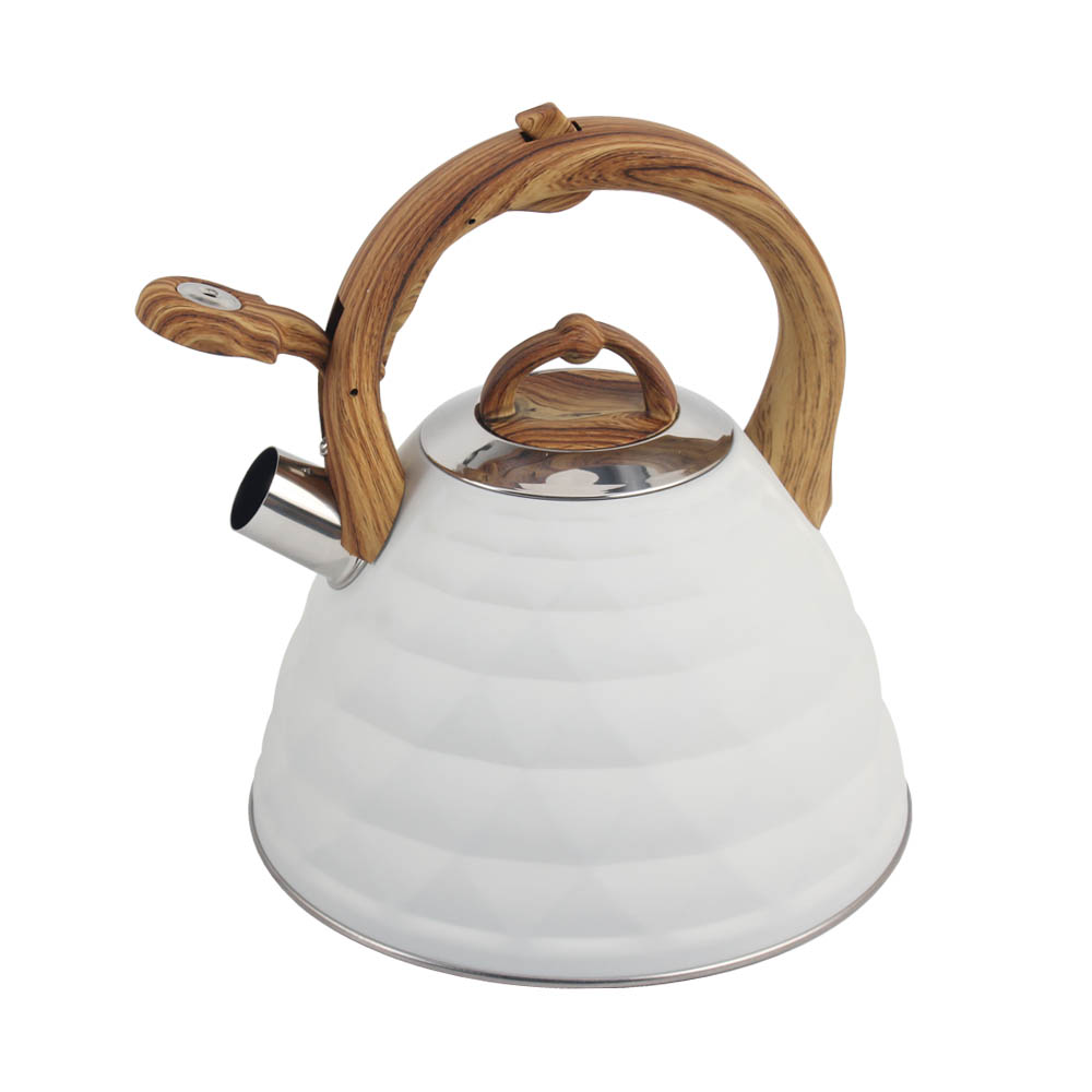 Stainless Steel Whistling Kettle (White)