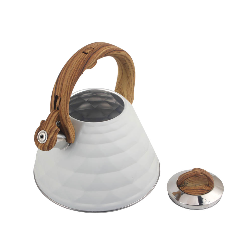 Stainless Steel Whistling Kettle (White)