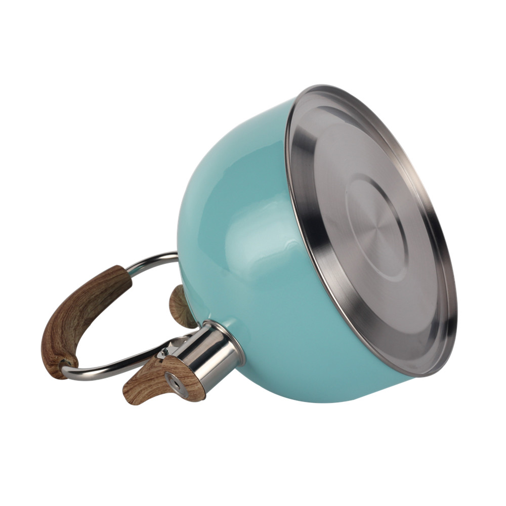 Mint Green Stainless Steel Whistling Tea Kettle