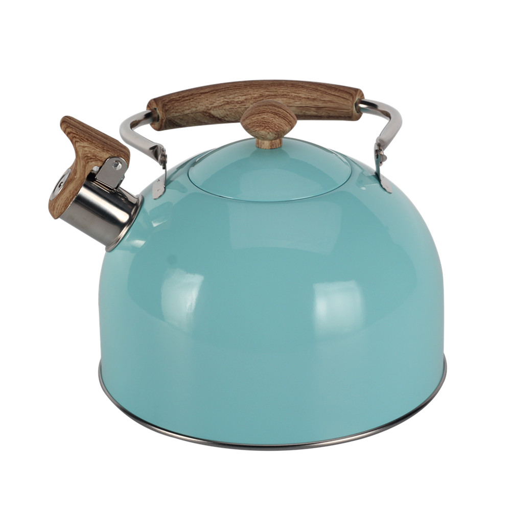 Mint Green Stainless Steel Whistling Tea Kettle