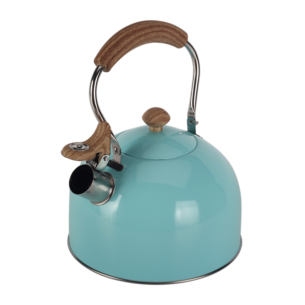 Mint Green Stainless Steel Whistling Tea Kettle