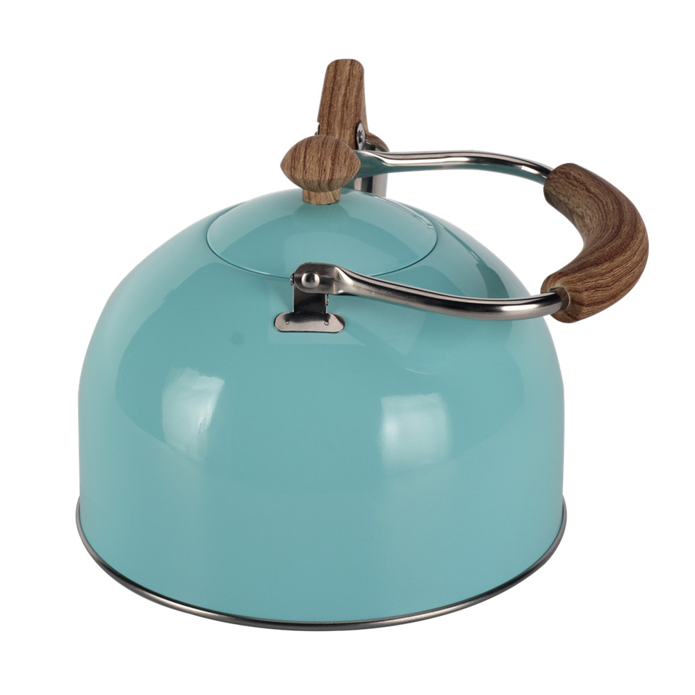 Mint Green Stainless Steel Whistling Tea Kettle