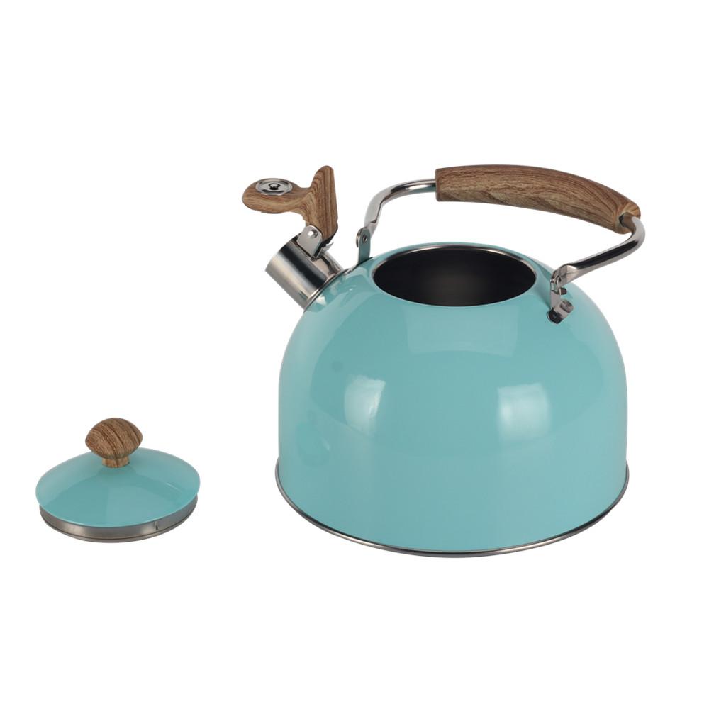 Mint Green Stainless Steel Whistling Tea Kettle