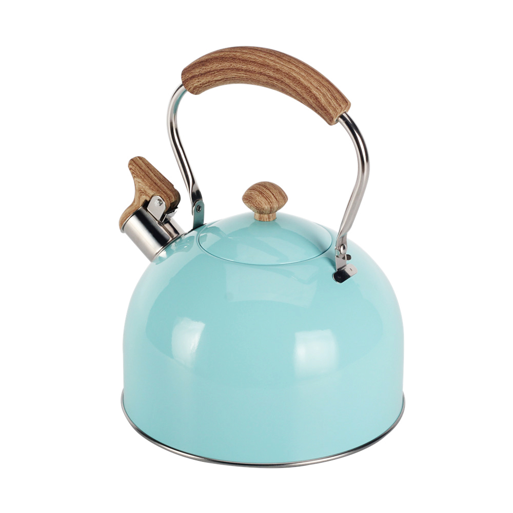 Mint Green Stainless Steel Whistling Tea Kettle