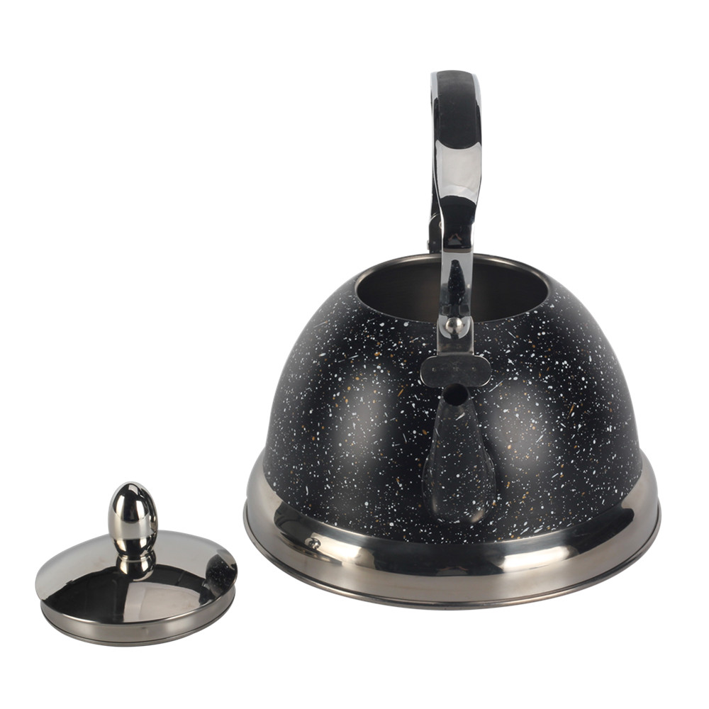 Whistling Kettle With Handle & Whistling Sound