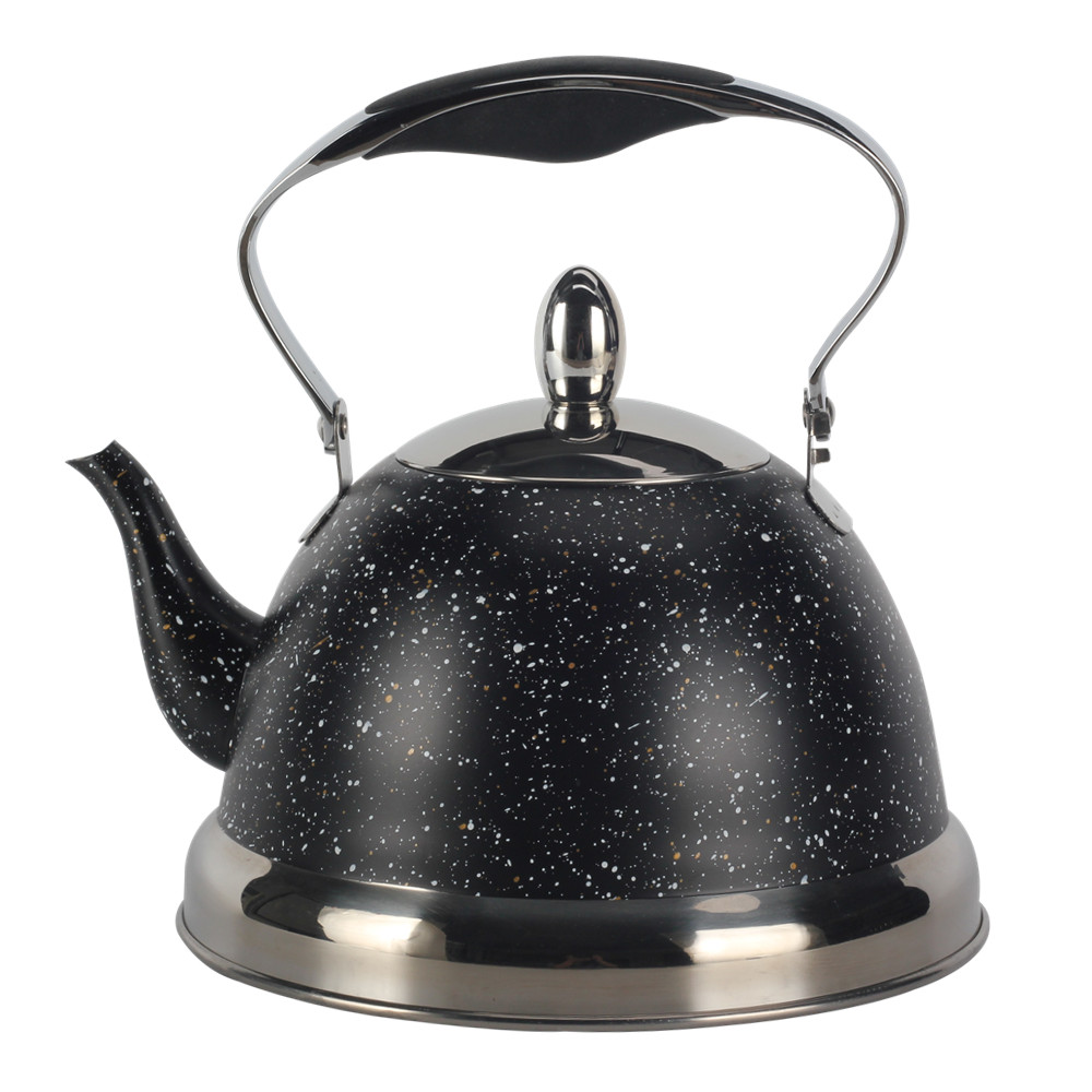 Whistling Kettle With Handle & Whistling Sound