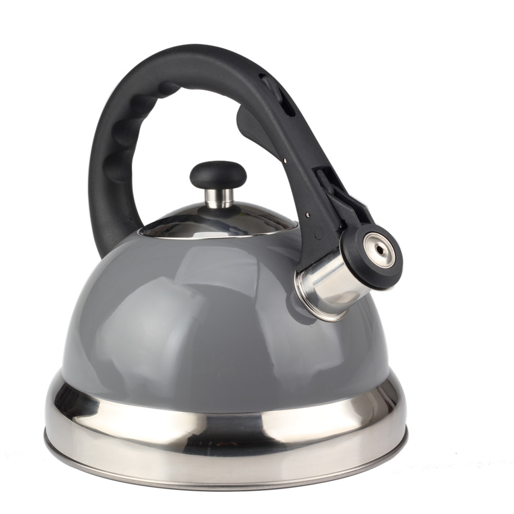 Modern Whistling Kettle Crafted for Kitchen Camping Picnic