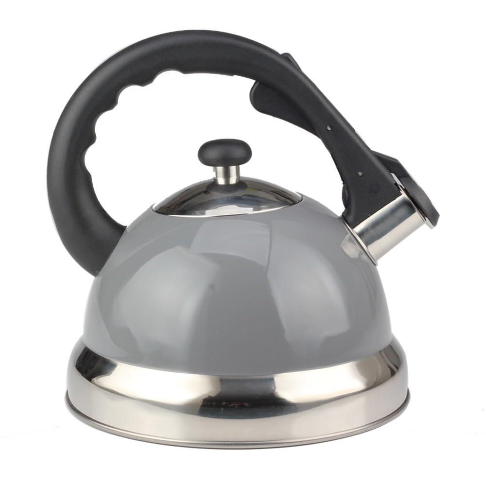 Modern Whistling Kettle Crafted for Kitchen Camping Picnic