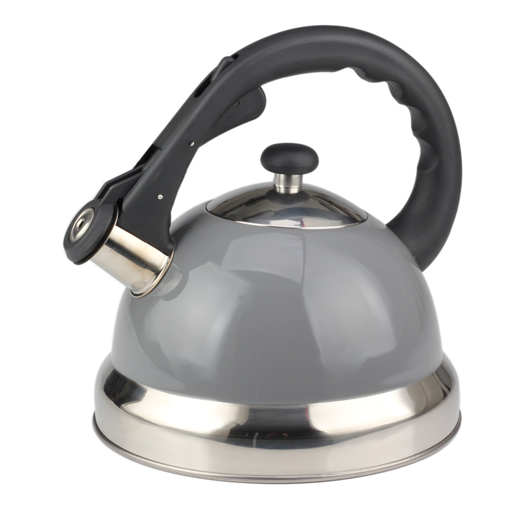 Modern Whistling Kettle Crafted for Kitchen Camping Picnic