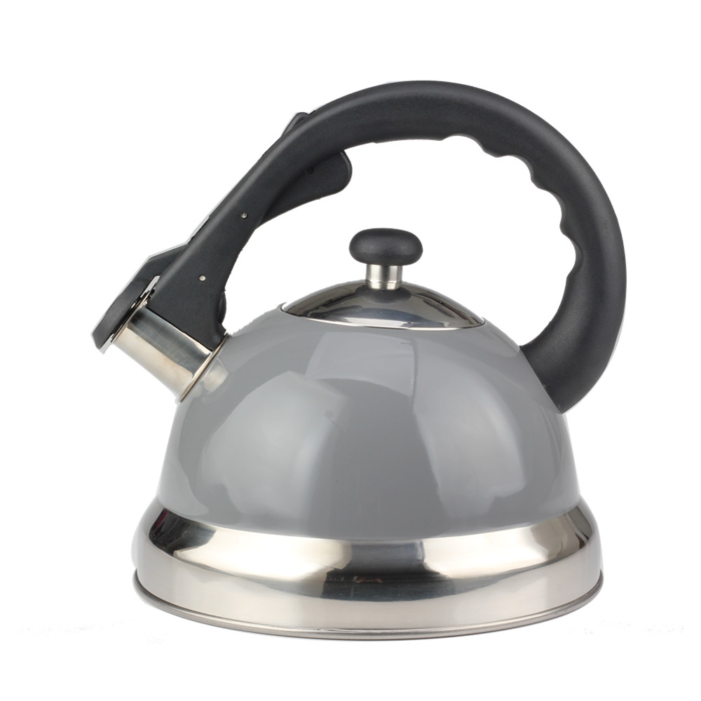 Modern Whistling Kettle Crafted for Kitchen Camping Picnic