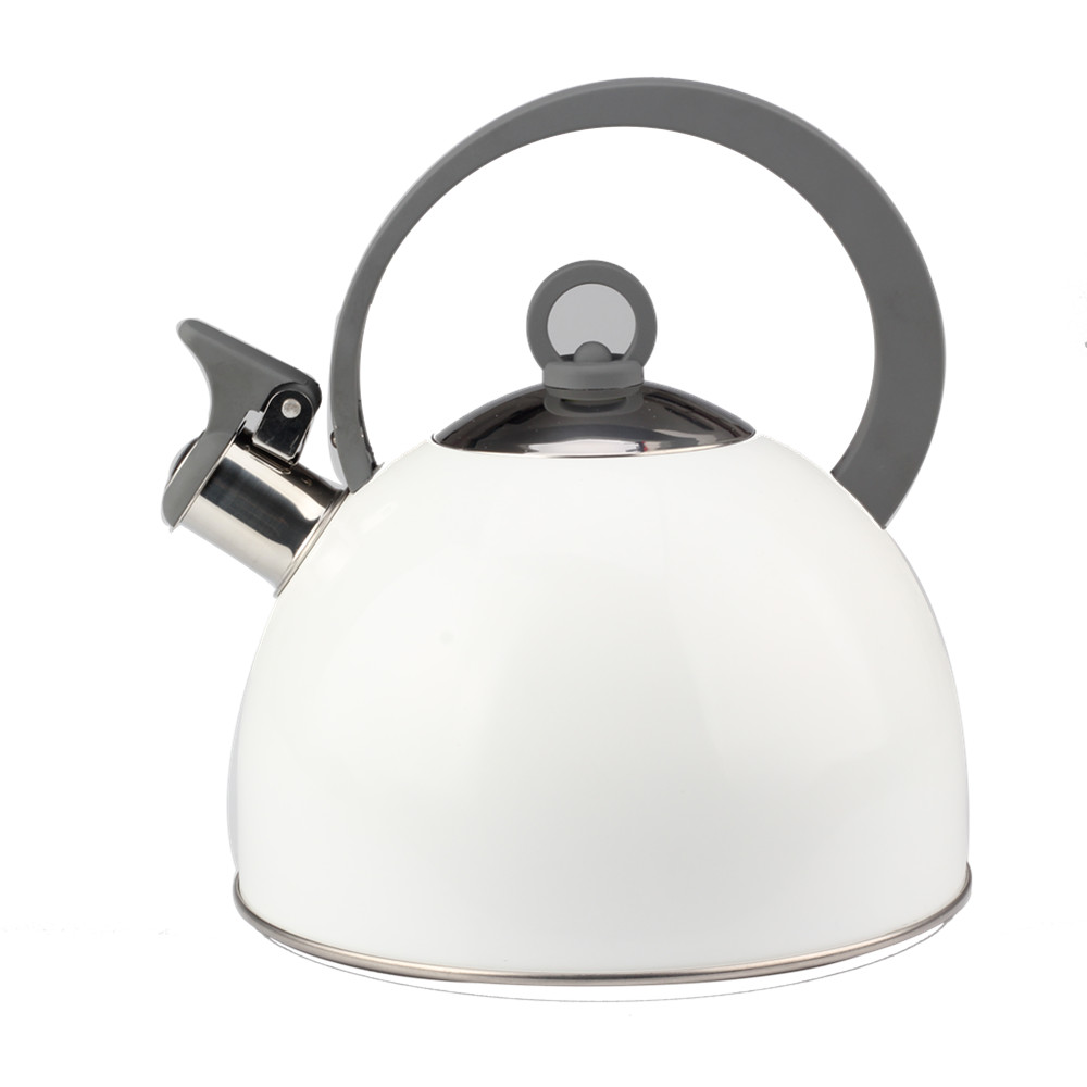 Classic Stainless Steel Whistling Tea Kettle (White)