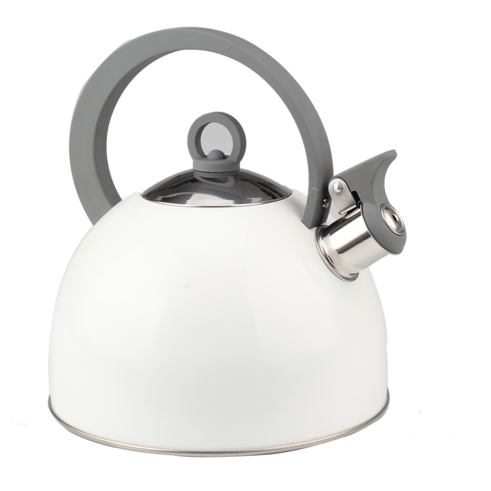 Classic Stainless Steel Whistling Tea Kettle (White)