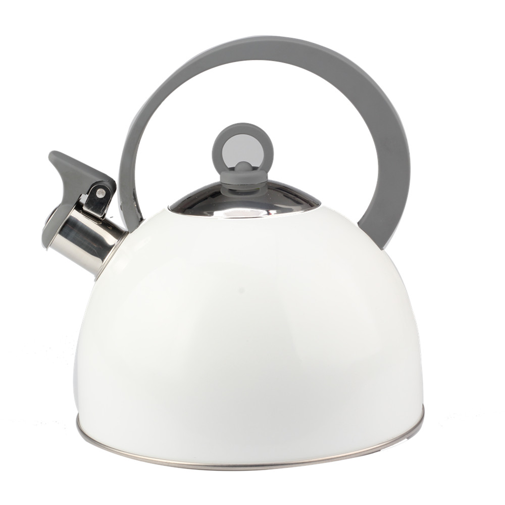 Classic Stainless Steel Whistling Tea Kettle (White)