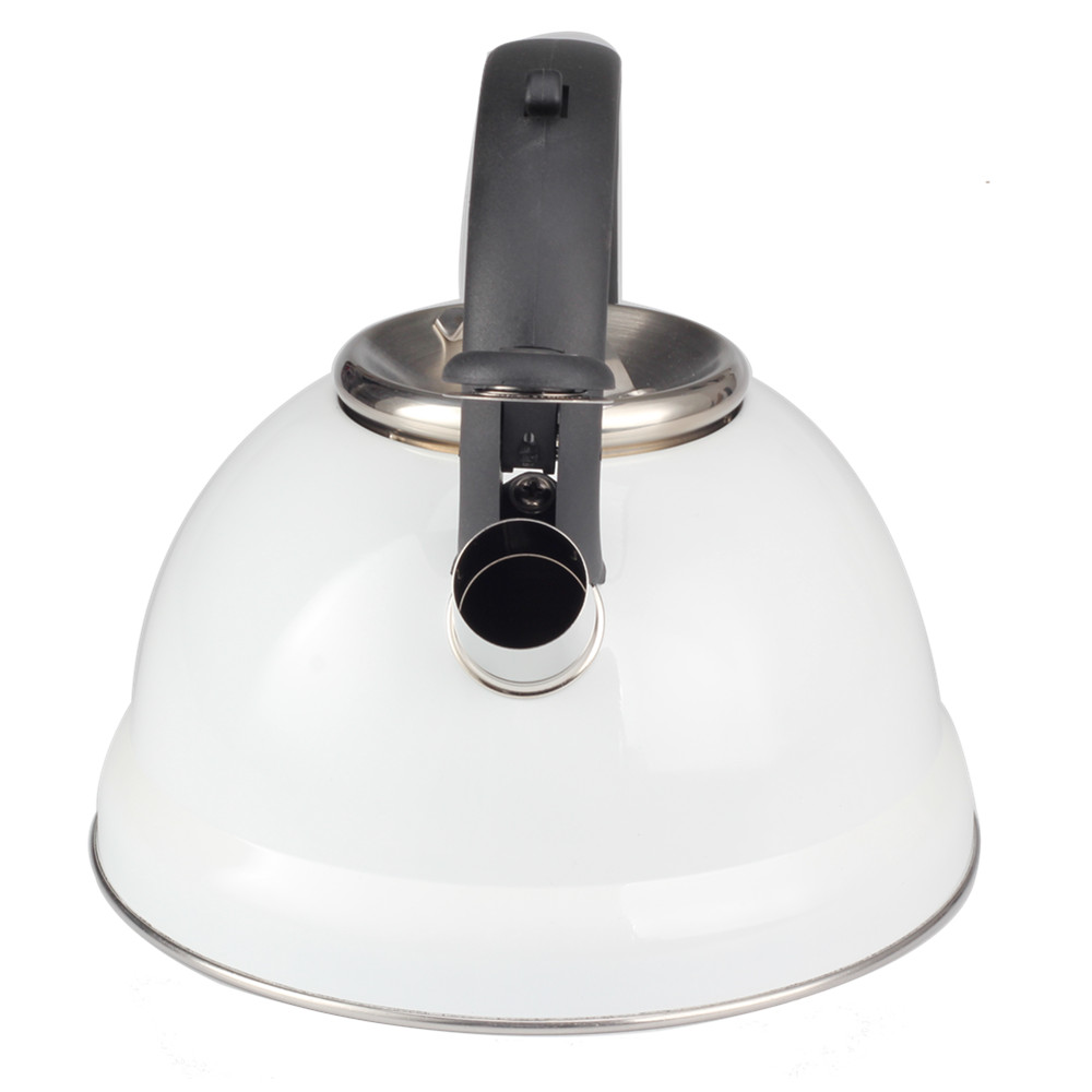 Classic Stainless Steel Whistling Tea Kettle