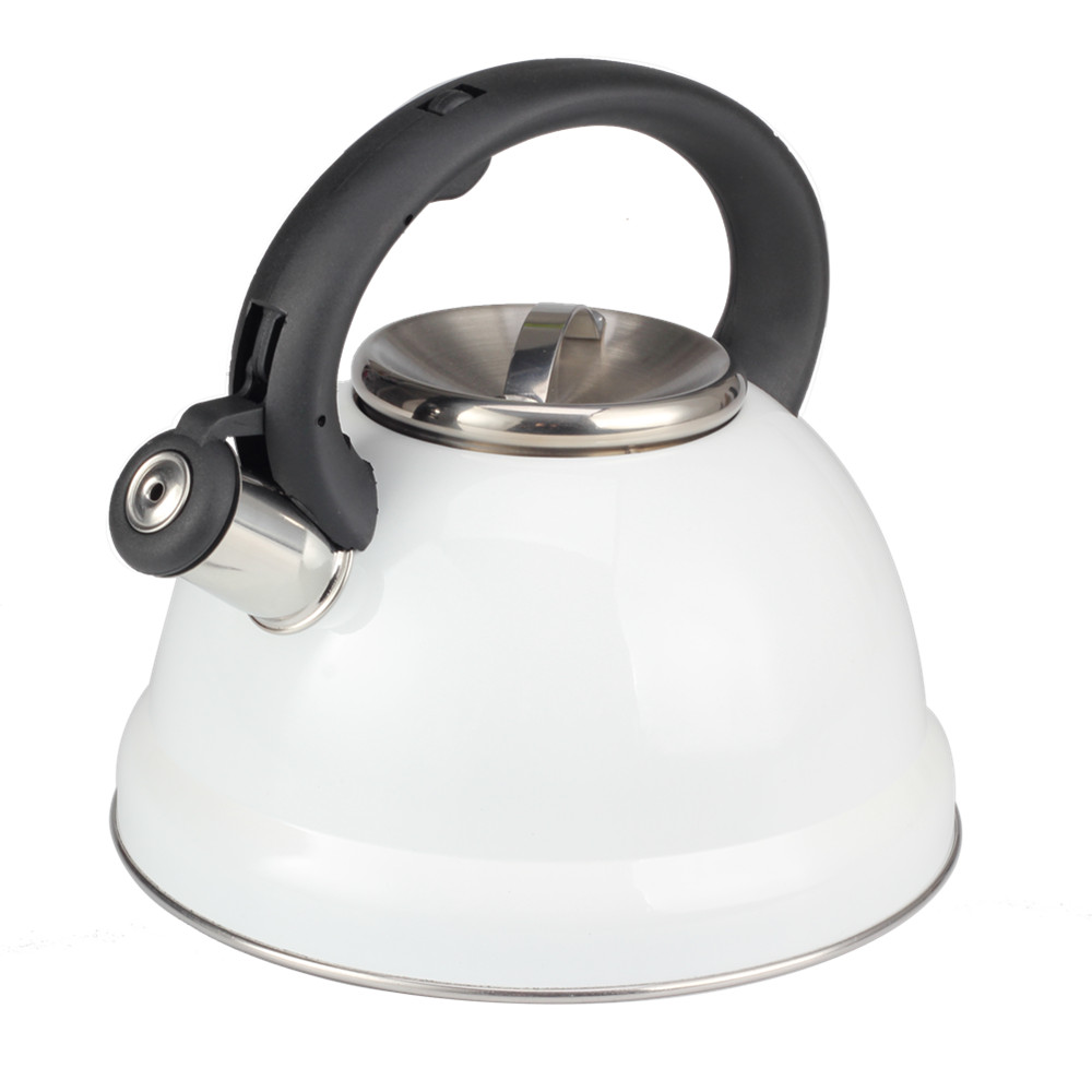 Classic Stainless Steel Whistling Tea Kettle