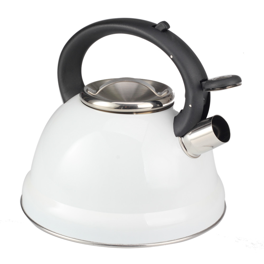 Classic Stainless Steel Whistling Tea Kettle