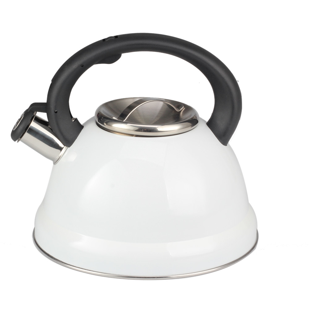 Classic Stainless Steel Whistling Tea Kettle