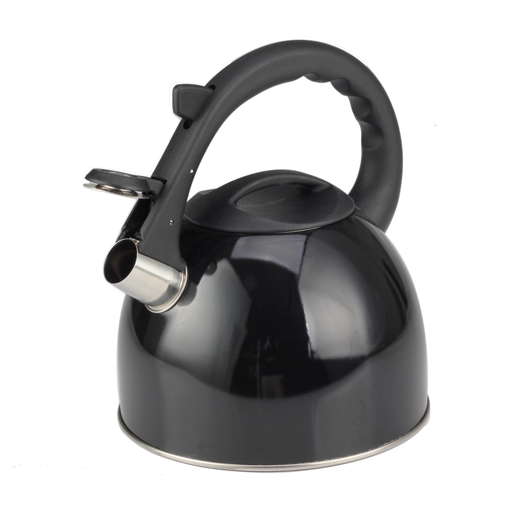 Stainless Steel Whistling Tea Kettle for Kitchen Camping