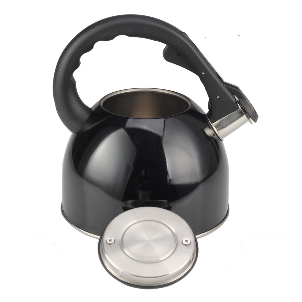 Stainless Steel Whistling Tea Kettle for Kitchen Camping