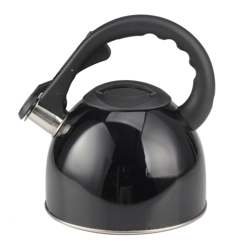 Stainless Steel Whistling Tea Kettle for Kitchen Camping