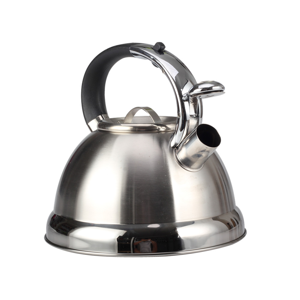 Stainless Steel Whistling Tea Kettle for Kitchen