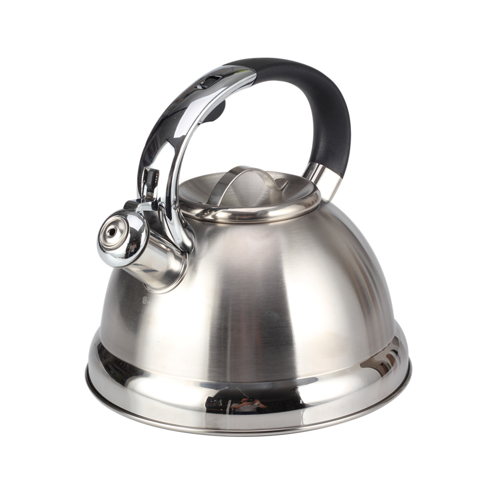 Stainless Steel Whistling Tea Kettle for Kitchen