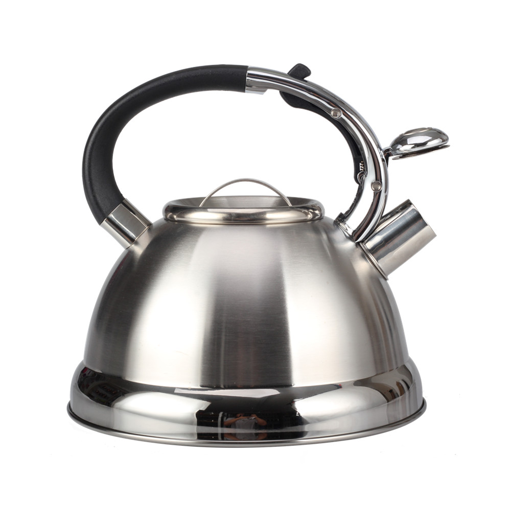 Stainless Steel Whistling Tea Kettle for Kitchen