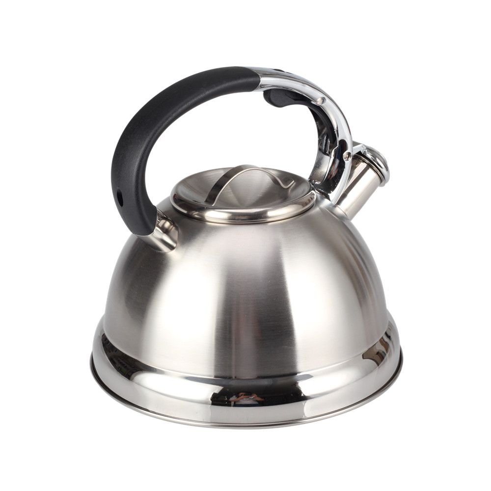 Stainless Steel Whistling Tea Kettle for Kitchen