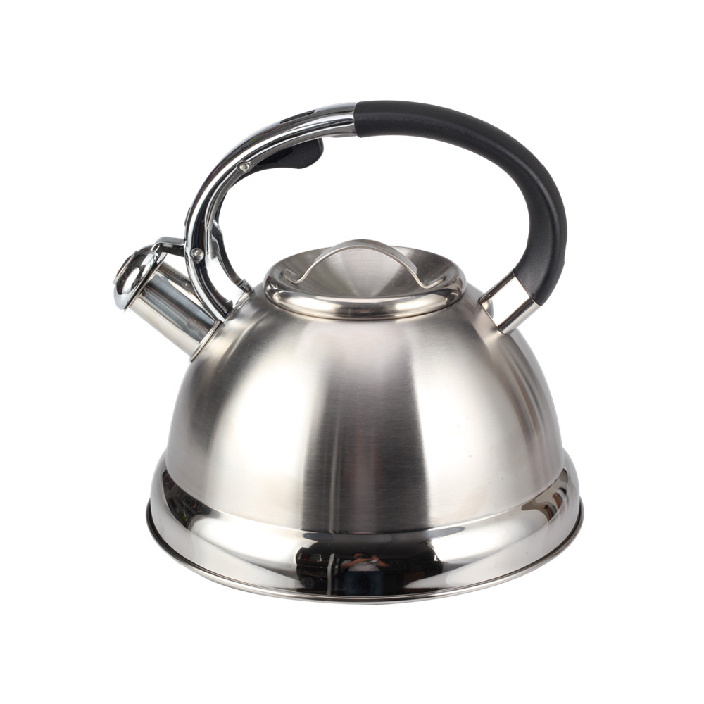 Stainless Steel Whistling Tea Kettle for Kitchen