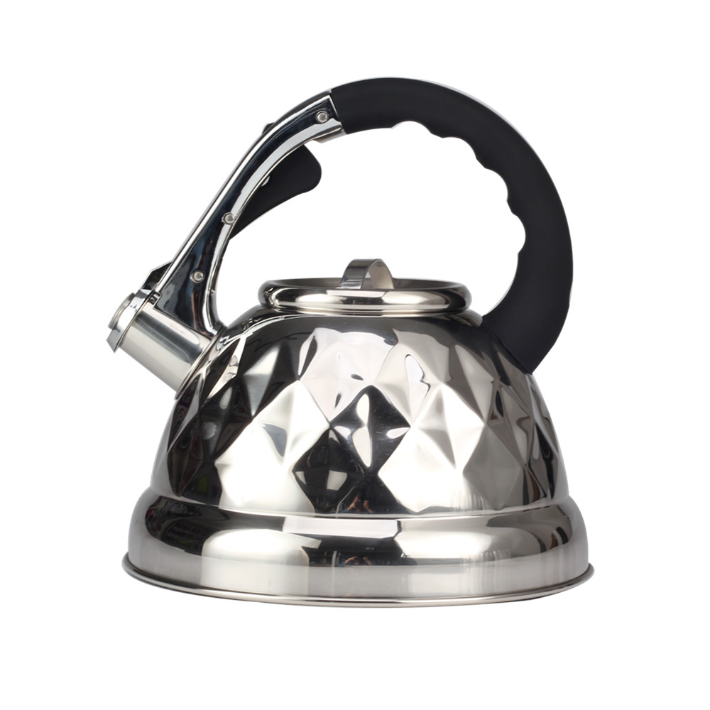 Stainless Steel Whistling Tea Kettle With Silicone Handle for Kitchen Camping