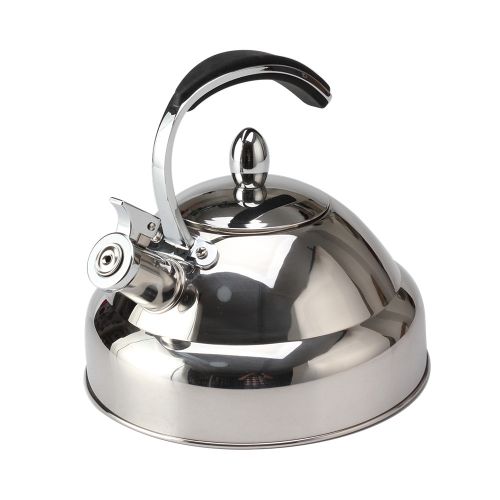 Stainless Steel Whistling Tea Kettle With Silicone Handle