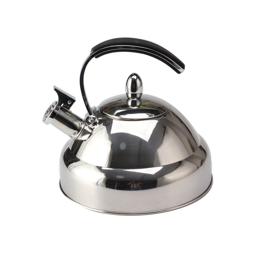 Stainless Steel Whistling Tea Kettle With Silicone Handle