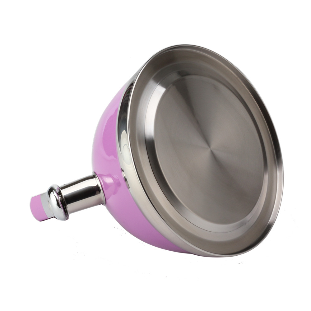 Classic Stainless Steel Whistling Tea Kettle With Purple Handle