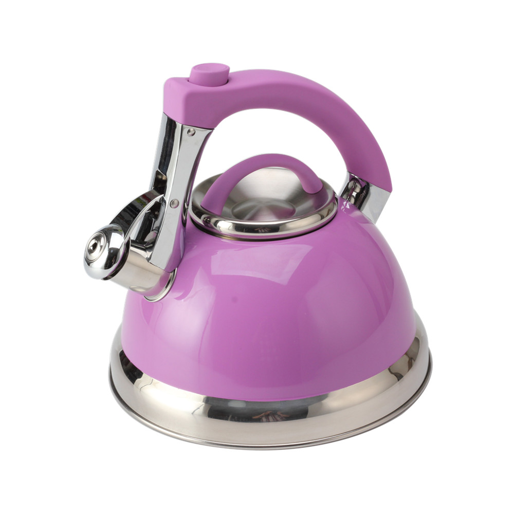 Classic Stainless Steel Whistling Tea Kettle With Purple Handle