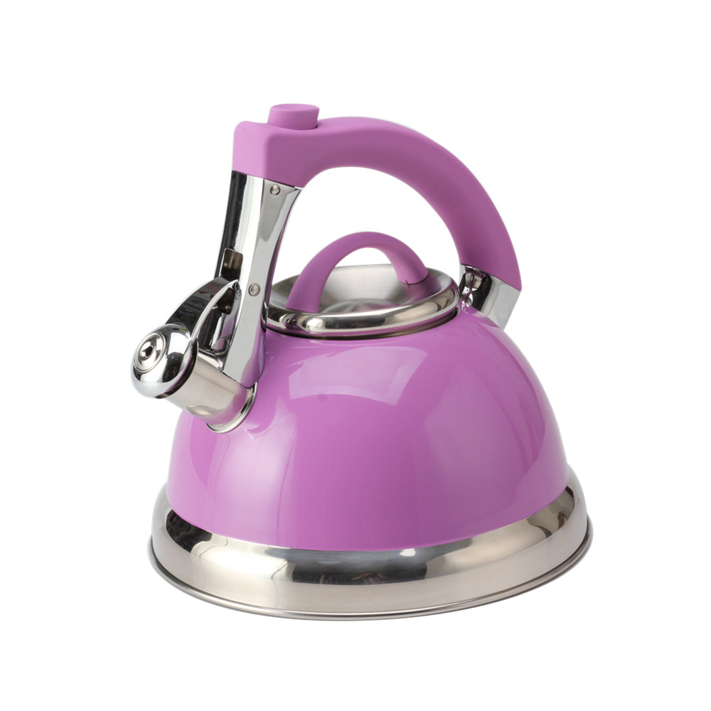 Classic Stainless Steel Whistling Tea Kettle With Purple Handle