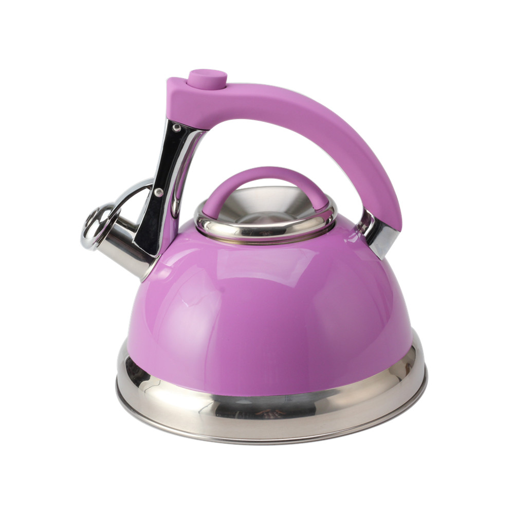 Classic Stainless Steel Whistling Tea Kettle With Purple Handle