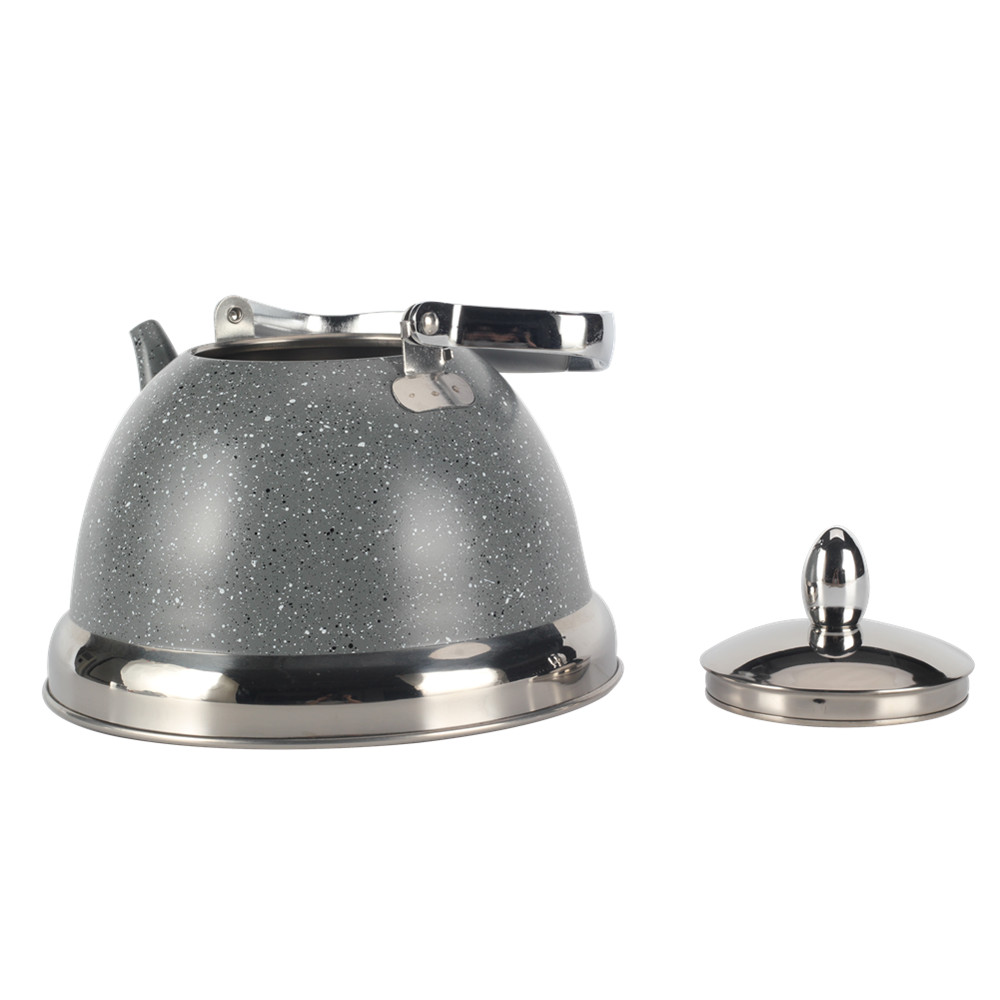 Whistling Kettle With Handle & Whistling Sound Gray