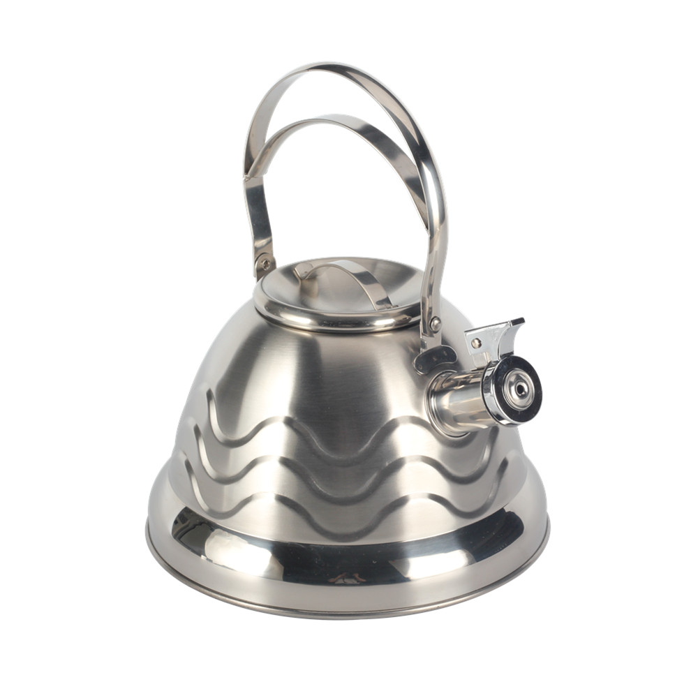 Stainless Steel Whistling Kettle, Tea Kettle for All Hobs