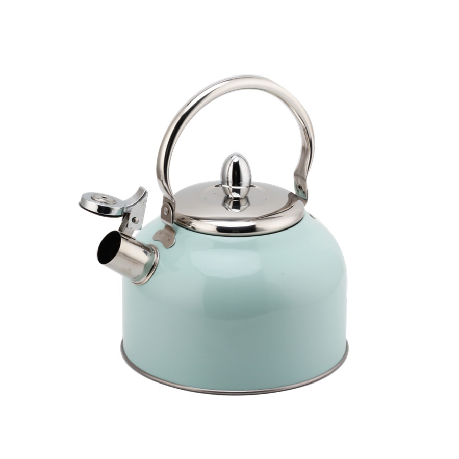 Stainless Steel Whistling Tea Kettle, Tea Kettle for All Hobs