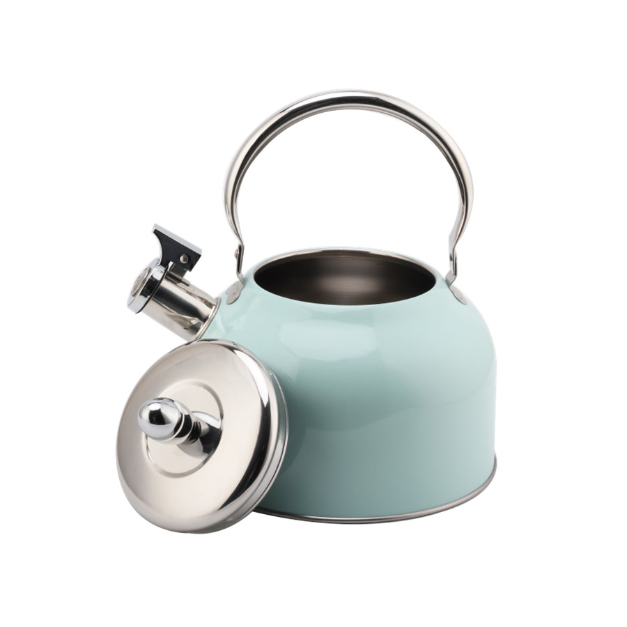 Stainless Steel Whistling Tea Kettle, Tea Kettle for All Hobs