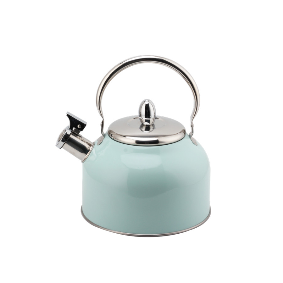 Stainless Steel Whistling Tea Kettle, Tea Kettle for All Hobs