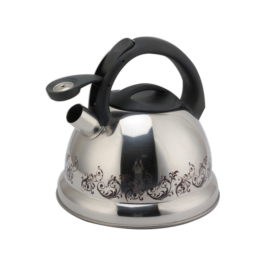 Stainless Steel Whistling Kettle Tea Kettle for All HobsTeapot