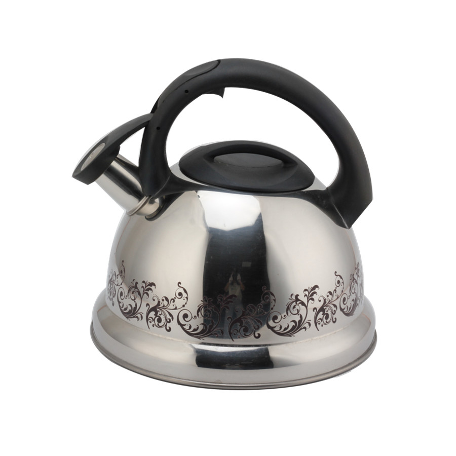 Stainless Steel Whistling Kettle Tea Kettle for All HobsTeapot