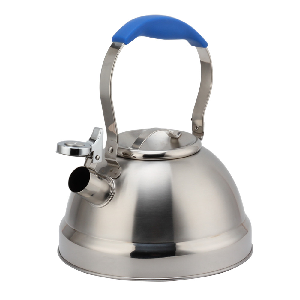 Stainless Steel Whistling Kettle - Tea Kettle for Stove - Blue Handle